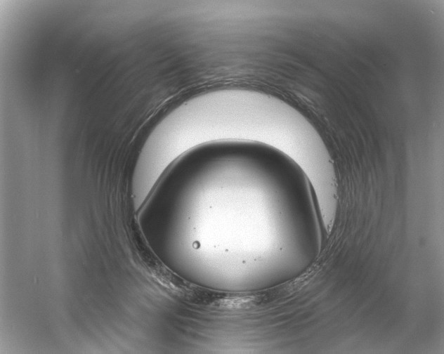 X0000060810172200512011810