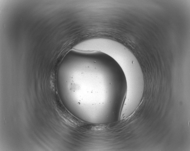 X0000060810175200512011810