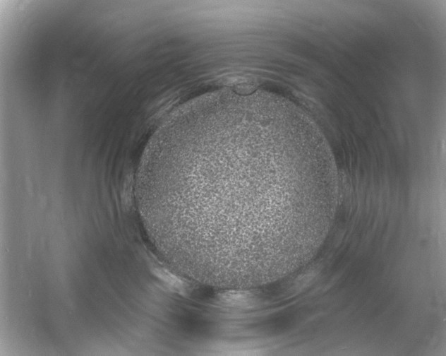X0000060810189200512011810