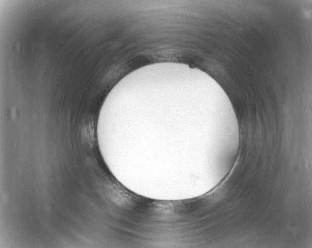 X0000060810190200512011810