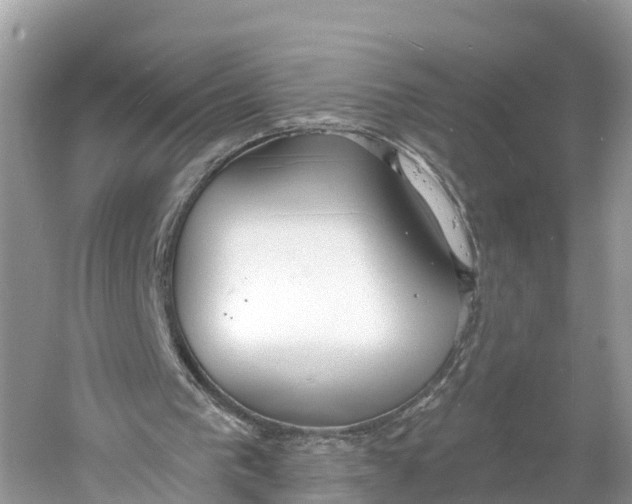 X0000060810193200512011809