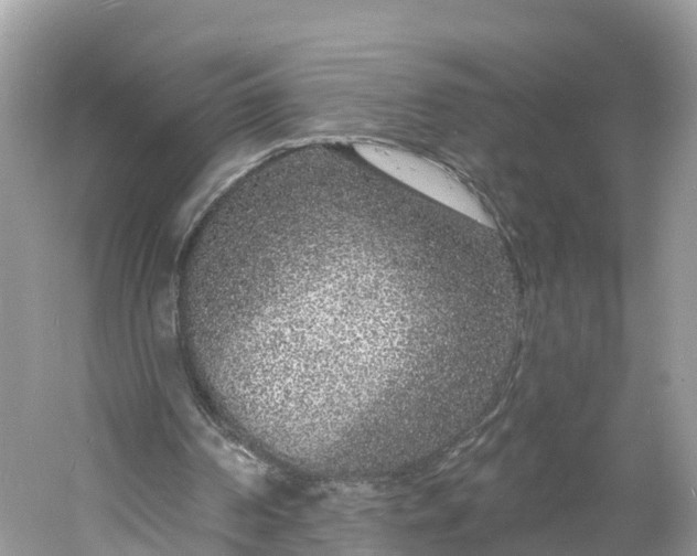 X0000060810194200512011809
