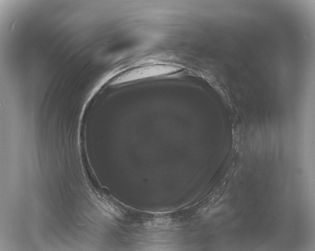 X0000060810196200512011809