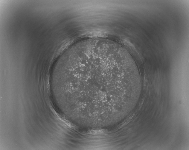 X0000060810202200512011809