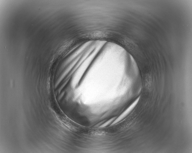 X0000060810206200512011809