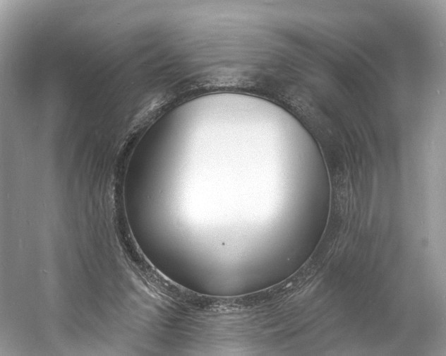 X0000060810207200512011809