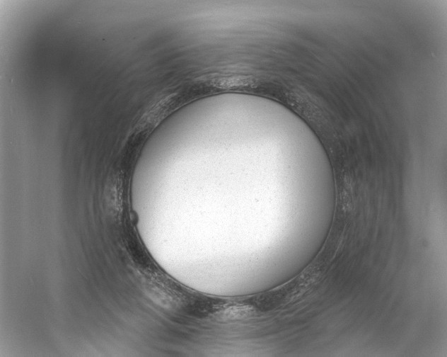 X0000060810210200512011808