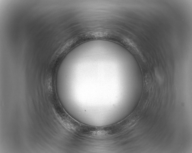 X0000060810212200512011808