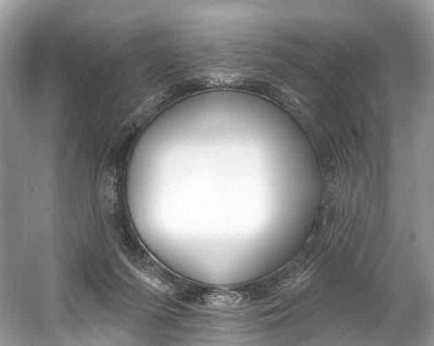X0000060810215200512011808
