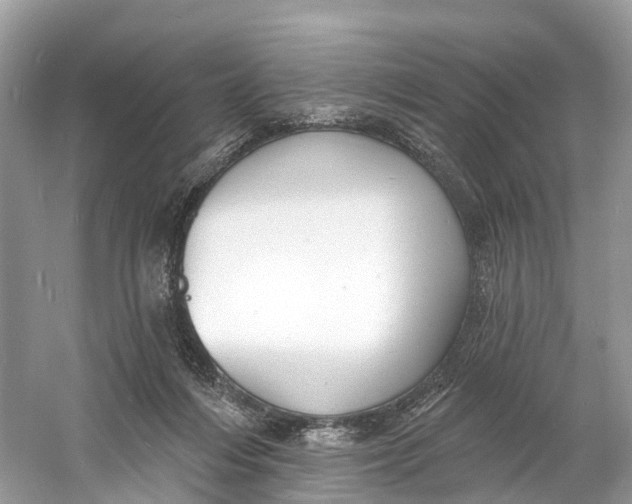 X0000060810216200512011808