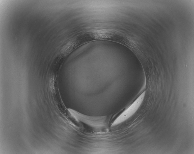 X0000060810219200512011808