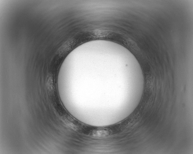 X0000060810220200512011808