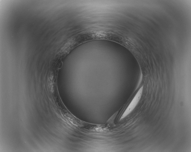 X0000060810223200512011808