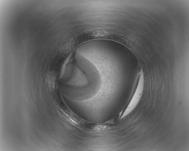 X0000060810227200512011808