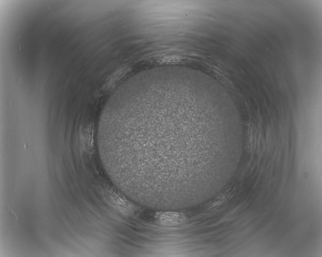 X0000060810230200512011808