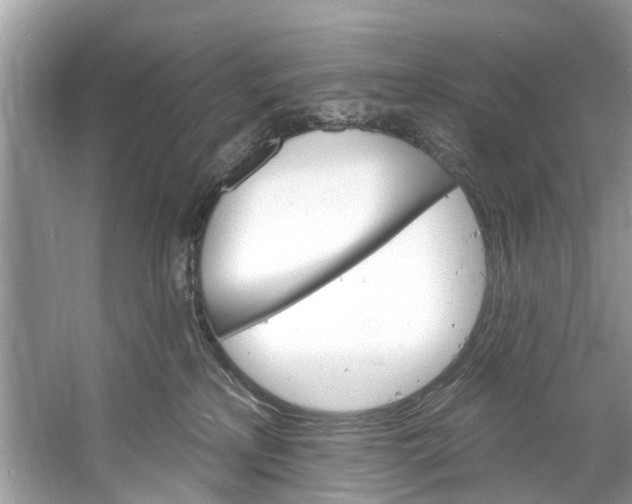 X0000060810233200512011808