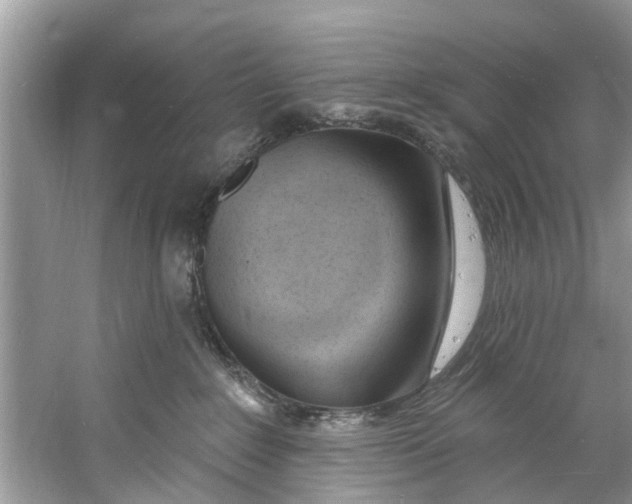 X0000060810235200512011808