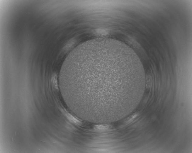 X0000060810238200512011808