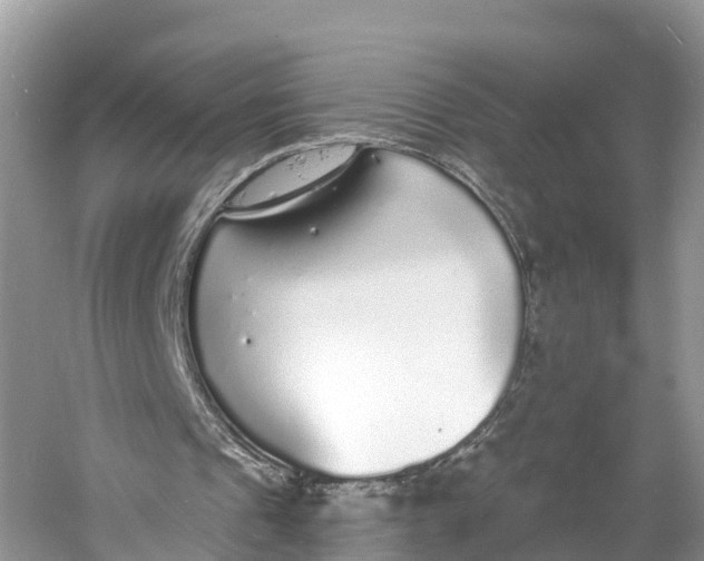 X0000060810241200512011807