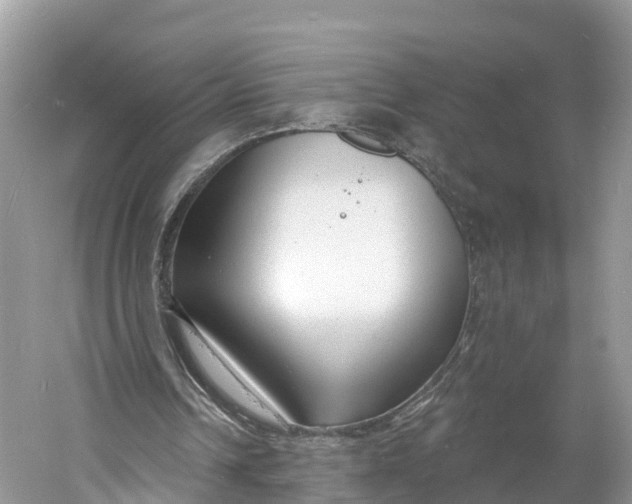 X0000060810242200512011807