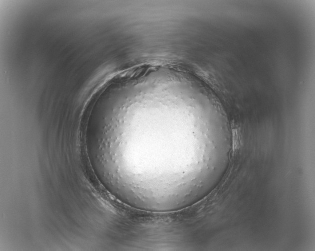X0000060810243200512011807