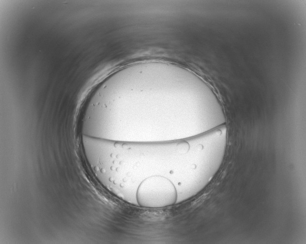 X0000060810245200512011807