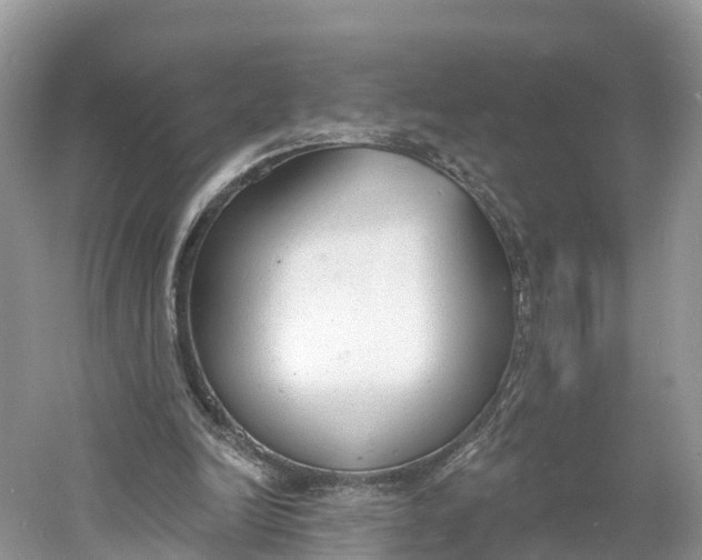 X0000060810246200512011807