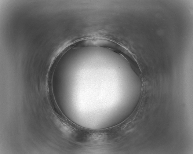 X0000060810248200512011807