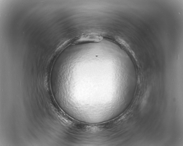 X0000060810249200512011807