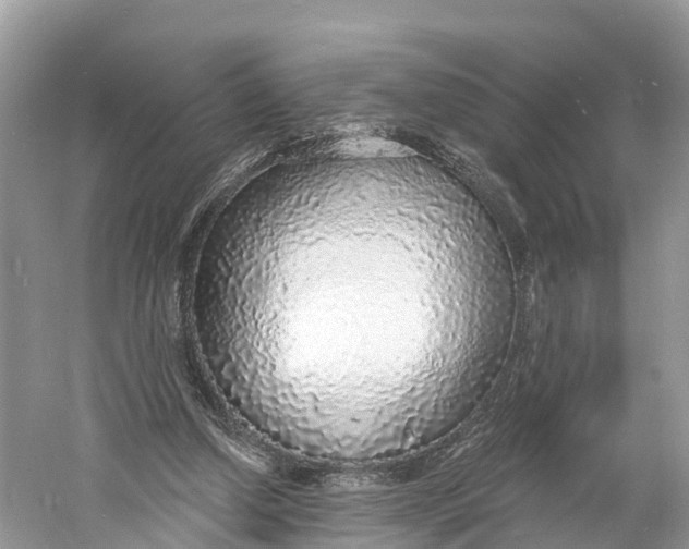 X0000060810250200512011807