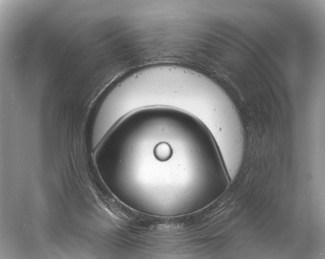 X0000060810251200512011807