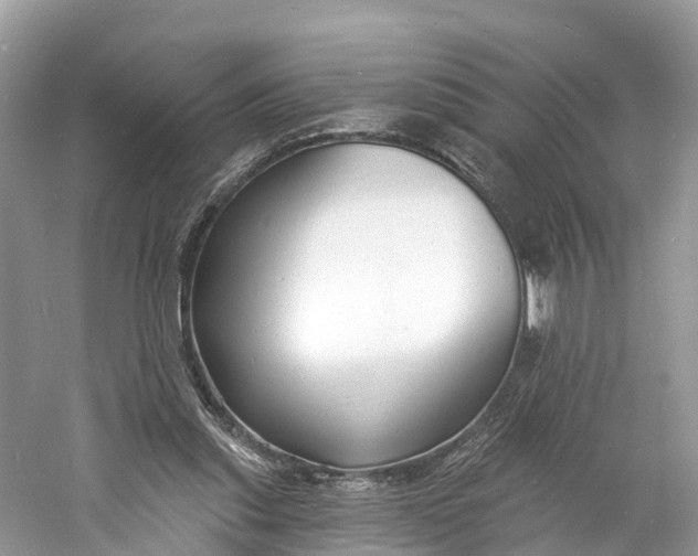 X0000060810253200512011807