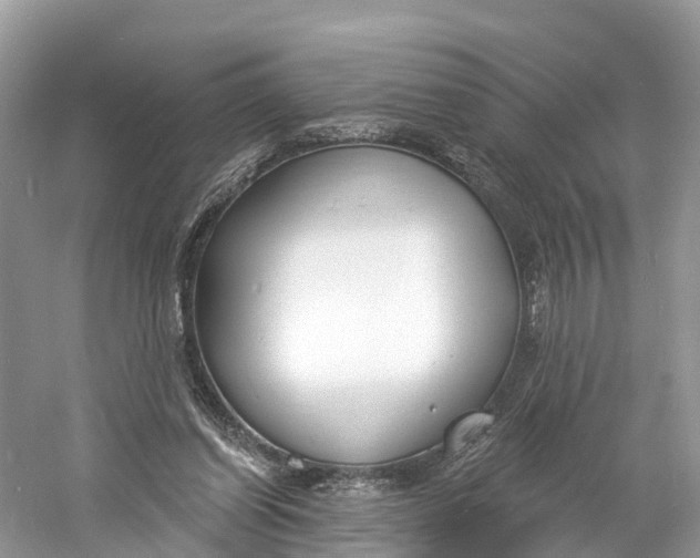 X0000060810254200512011807