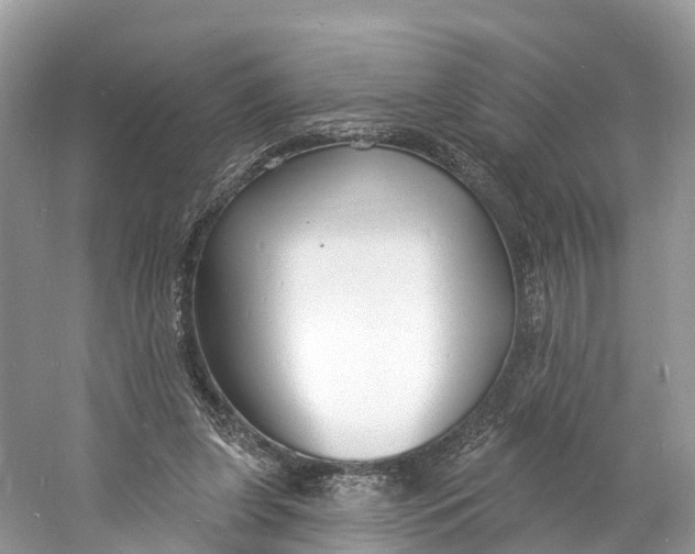 X0000060810255200512011807
