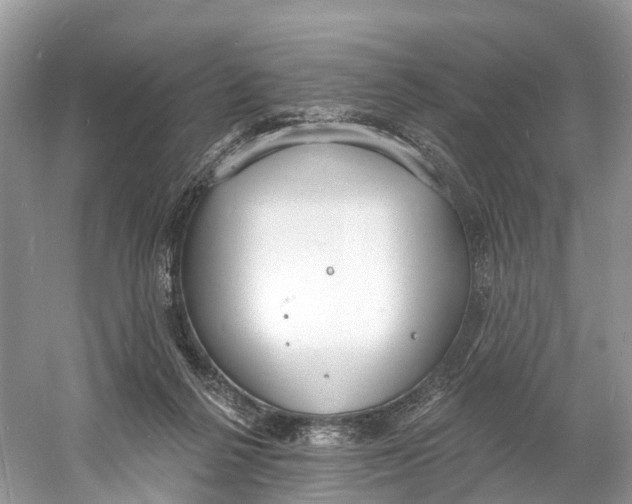 X0000060810264200512011808