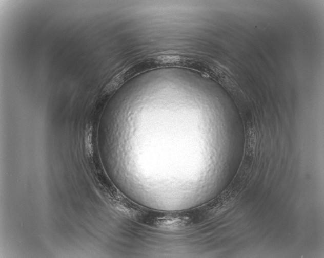 X0000060810267200512011808