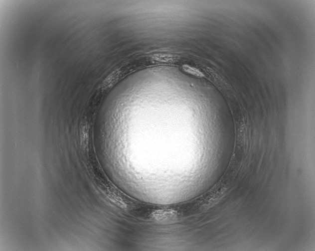 X0000060810271200512011808