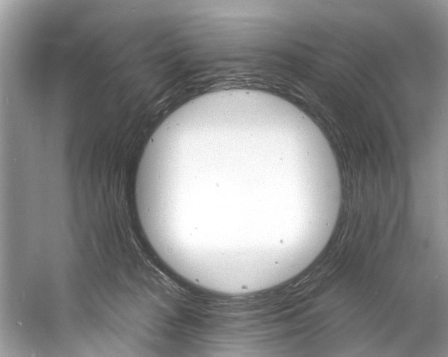 X0000060810277200512011808