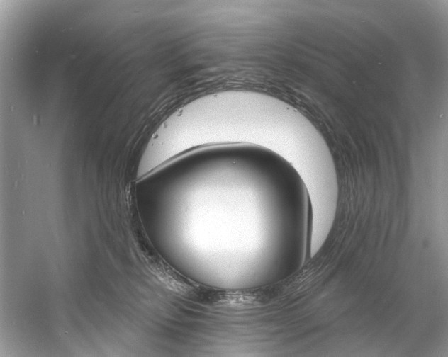X0000060810278200512011808