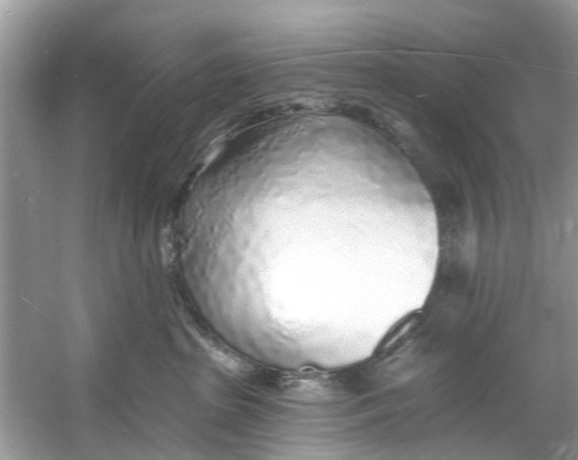 X0000060810285200512011808