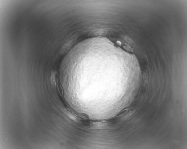 X0000060810286200512011808