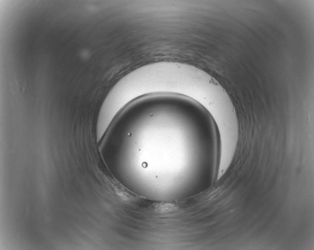 X0000060810287200512011808