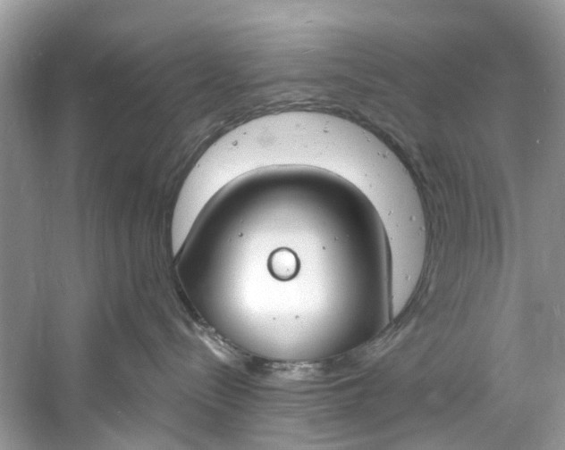 X0000060810288200512011808