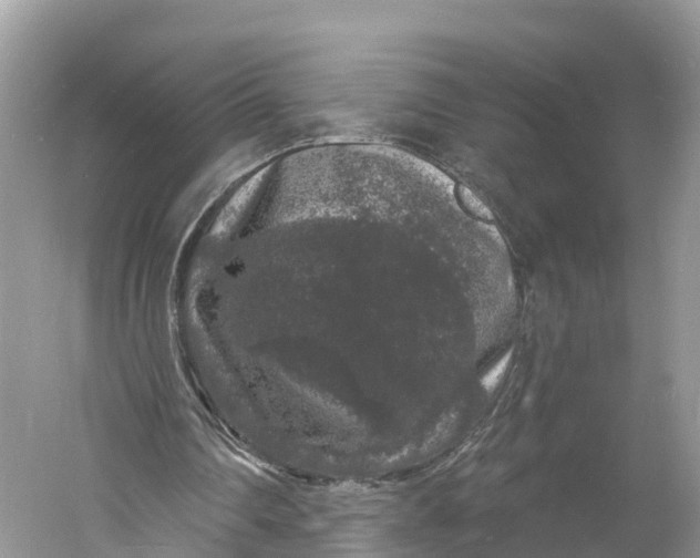 X0000060810290200512011807
