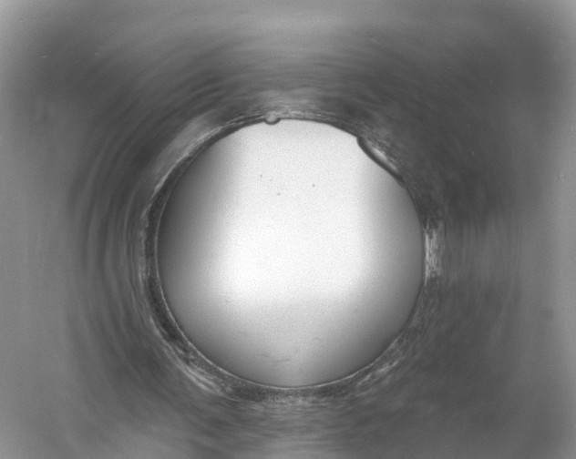 X0000060810291200512011807