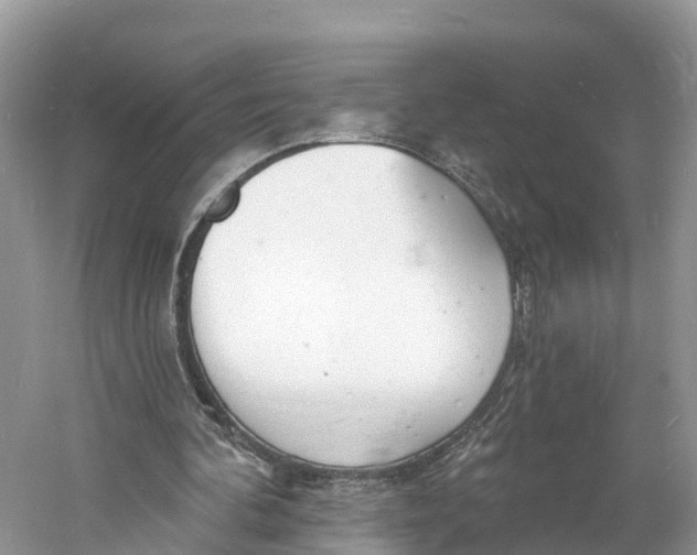 X0000060810292200512011807