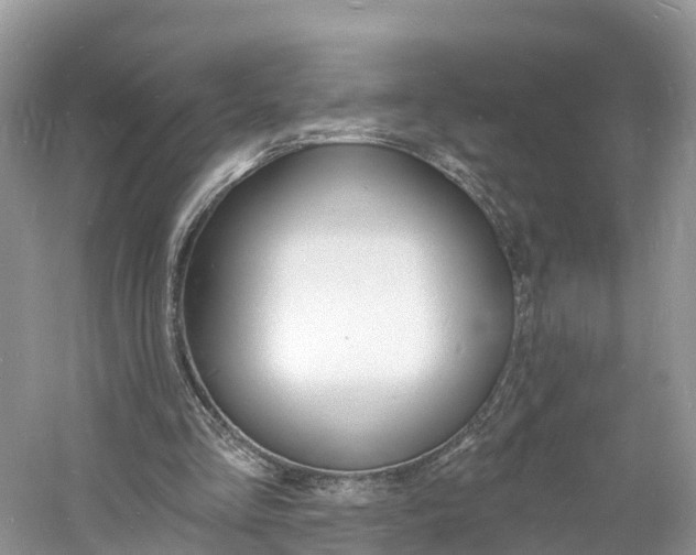 X0000060810293200512011807