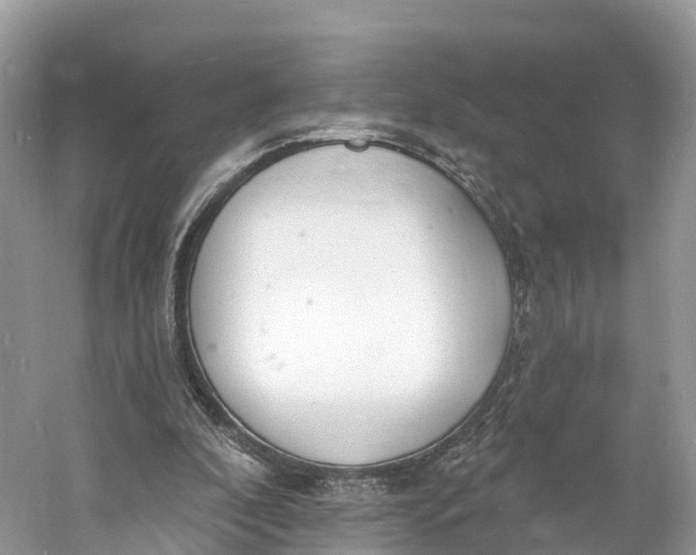 X0000060810296200512011807