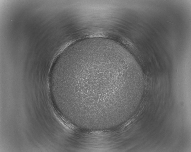X0000060810298200512011807