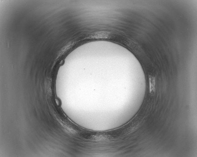 X0000060810300200512011807